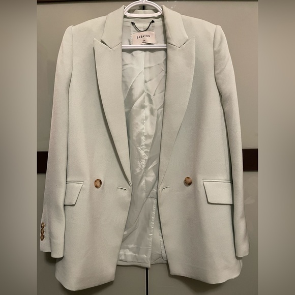 Aritzia Babaton Blazer - Picture 1 of 5